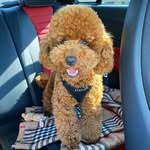 Thomasmarien - @thomasmarien4 - Instagram