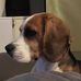 Thomas Markert - Facebook