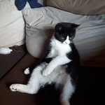 Thomas Markl - @marklthomas0 - Instagram