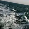 ahmed albhar - @thomas.markos.3 - TikTok