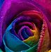 Thomas Markos - Facebook