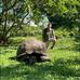 Thomas Marriott - Facebook