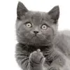 Thomas Marriott  - @thomas.m2002 - TikTok