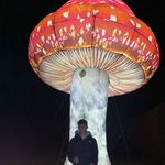 Thomas Marshall - @_thomas_marshall - Instagram