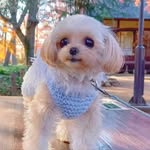 Thomas Henry Marshburn - @lucy_spark75 - Instagram