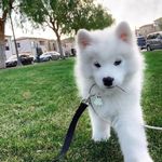 thomas marshburn - @thomas.marshburn - Instagram