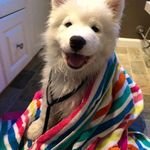 Thomas marshburn - @tthomasmarshburn - Instagram