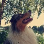 Thomas Martzloff - @thomasmartzloff - Instagram