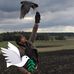 Thomas Matejka - Facebook
