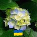 Thomas Mathieu - Facebook