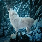 Thomas Mathieu - @thomasmathieu886 - Instagram