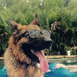 Thomas Matter - @thomasmatter - Instagram