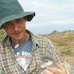 Thomas Mattern - @panicjohnson - Instagram