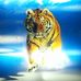 Thomas Matterne - Facebook