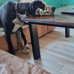 Thomas Mauritz - @mauritz289 - Instagram