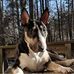 Thomas Maxey - Facebook
