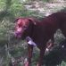 Thomas Mcalexander - Facebook