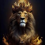 Thomas McAlister - @tommy_mac101 - Instagram