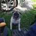 Tom McBee - Facebook