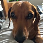 Tommy Mccarroll - @thomas.mccarroll - Instagram