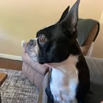 Thomas McChesney - @winstonleemcchesney - Instagram
