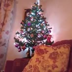 Tom McClements - Facebook