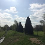 Thomas McCole - @nubthom - Instagram