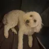 Thomas - @thomas.mcelaney - TikTok