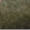 Thomas_Mcerlean - @muffin_thomas - TikTok