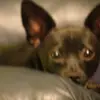 thomasmcghee113 - @thomasmcghee113 - TikTok