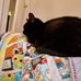 Thomas Mcgoey - Facebook