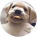Thomas McGonagle - Facebook