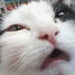 Thomas McGonagle - @thomas_1598753 - Instagram