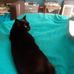 Thomas Mcgorry - Facebook