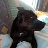 thomasmcgreal - @thomasmcgreal - TikTok
