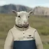 thomasmcgreevy495 - @thomasmcgreevy8123 - TikTok