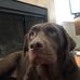 Tom McGreevy - Facebook
