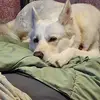 Thomas McHenry - @thomas.mchenry2 - TikTok