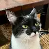 Thomas_mcinnes - @thomasmcinnes3 - TikTok