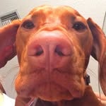Thomas McKey - @tralent2 - Instagram