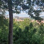 Thomas McLachlan - @mctm98 - Instagram