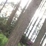 Thomas Mcleod - @mountainbikingtrails - Instagram