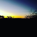 Thomas Mcleod - @mcleod942 - Instagram