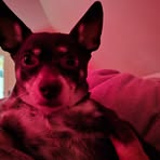 Thomas McLeod - Facebook