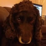 Thomas McLeod - @thomas.mcleod.5682 - Instagram