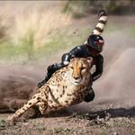 thomas mcleod - @donteatme00236 - Instagram