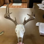 Thomas McMillian - @mcmillian12183 - Instagram