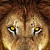 Thomas Mcminn - Facebook