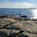 Thomas McMurray - Facebook