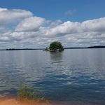 Thomas McMurray - @bmxlimit - Instagram